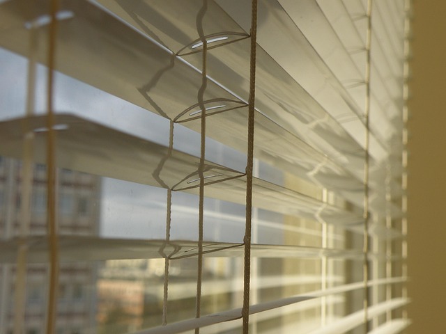 blind and window collection - shakti solution